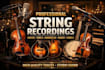 record professional violin viola mandolin banjo fiddle strings