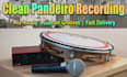record professional pandeiro percussion for your songs