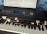 be your professional baroque recorder player s1sat