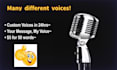 record a funny or cute custom voice message in 24 hours