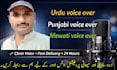do professional urdu,punjabi and mewati voice over for you videos