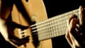 record a professional flamenco or nylon strings guitar
