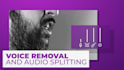 remove voice from video or music and isolate instruments