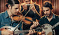 record mandolin, fiddle, violin, harmonica banjo player for your track