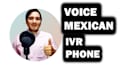 record high quality professional voice over for IVR