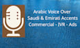 record a professional arabic voice over
