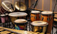 record percussions, bongo, vibraphone, steelpan drum, conga for your song