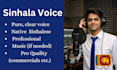 do sinhala voice overs