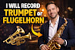 record trumpet or flugelhorn