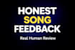 give honest and professional feedback on your song