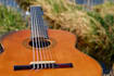 write your song lyrics and compose it enhancing your project