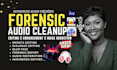 do forensic audio editing, cleanup, enhancement, background noise reduction,