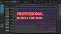 do professional multitrack editing, vocal tuning and audio repair