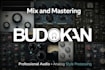 professionally mix and master your song