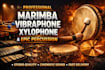 record professional marimba vibraphone xylophone and cinematic percussion