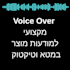 creative audio voice talent