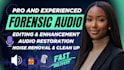 forensic audio editing clean up audio detect background voice remove noise video