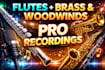 record professional flutes, brass and woodwinds