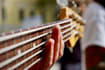 be your experienced session bass player