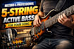 record high quality strings section with real instruments