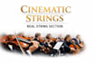 record cinematic and professional string section for your song or film