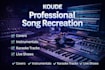 recreate any song instrumental professionally