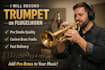 record trumphet or flugelhorn
