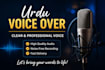 record urdu voice over in clear and professional voice