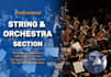 write a string or orchestra section for your track
