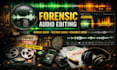do forensic audio cleanup, enhancement and noise removal