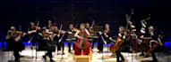 string orchestra for you