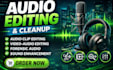 do fix mix forensic audio editing noise reduction  audio cleanup repair engineer