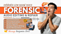 be forensic audio expert, audio repair, cut, clean up,  detect background voice