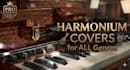 play authentic and emotional indian harmonium for your song