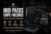 create custom melodies, midi packs, loops, and song starters