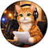 record voice over and narration for your project