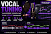 professionally tune and edit your vocals