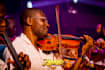 be your violin player, pro violinist, hq violin