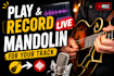 play and record live mandolin for your track professionally