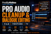 clean, edit and enhance your dialogue professionally
