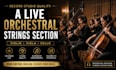 record studio quality a live orchestral strings section  violin, viola, cello