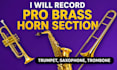 record pro brass horn section trumpet, saxophone, trombone, mandolin