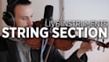 record live orchestral strings section using violin, viola or cello for you