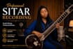 record professional sitar for your songs