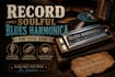 record soulful blues harmonica for your song