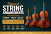 arrange and record premium violin, viola, cello and string quartet for your song