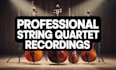 professional record studio quality fiddle violin or viola on your track