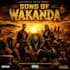produce music, lyrics, video, mixing, compose placement 100k fan base worldwide