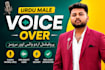 record professional urdu voice over for you
