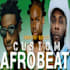 produce a custom afrobeat, afropop, dancehall beat